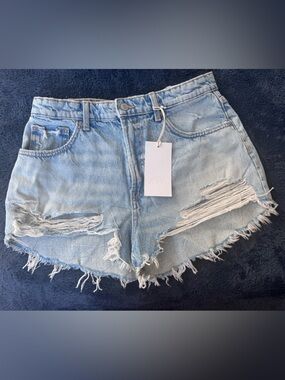 Zara Light Wash Distressed Denim Shorts